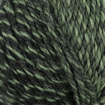 Moss, Anthracite (8)