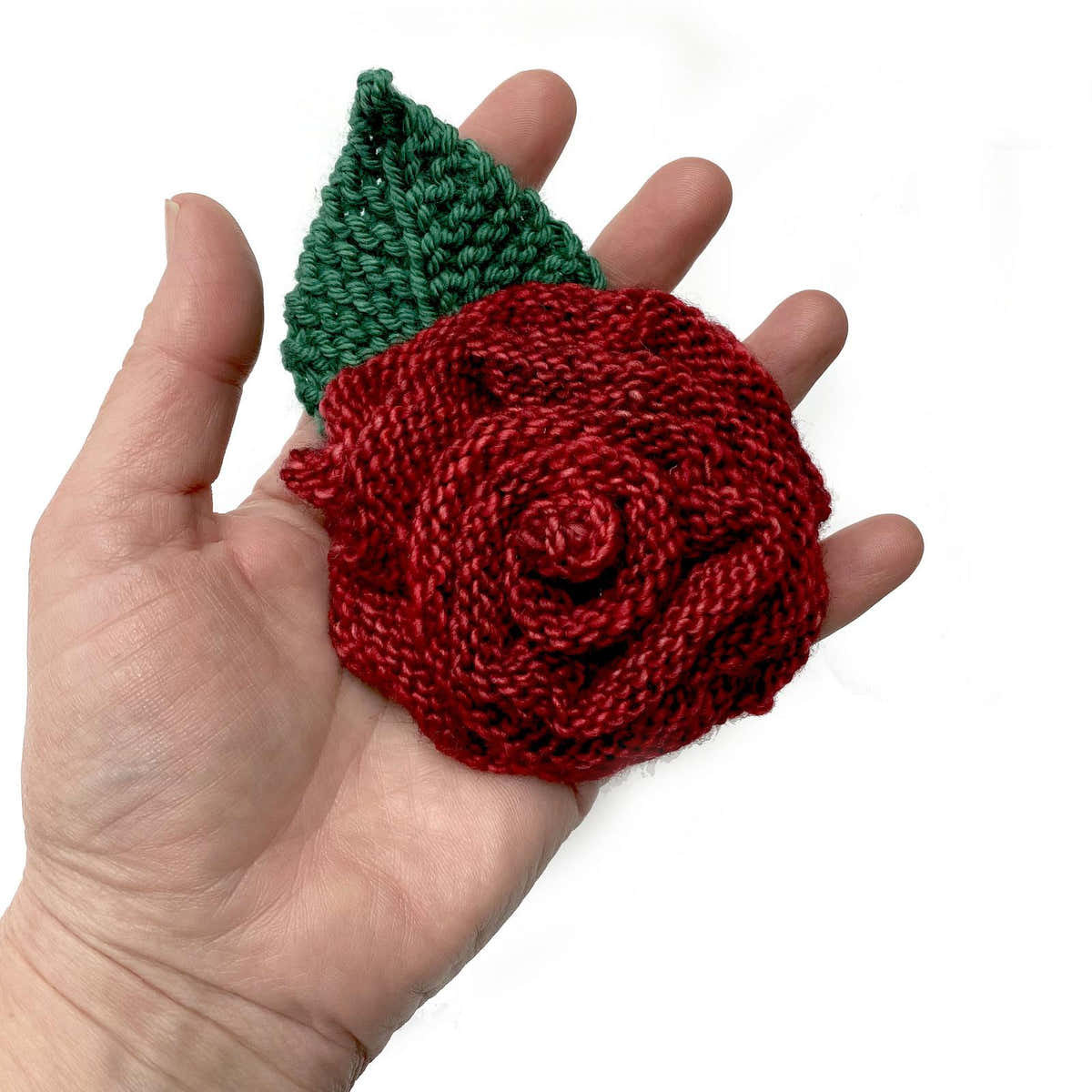 Festive Rose