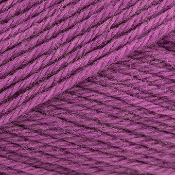 Violet (1534)