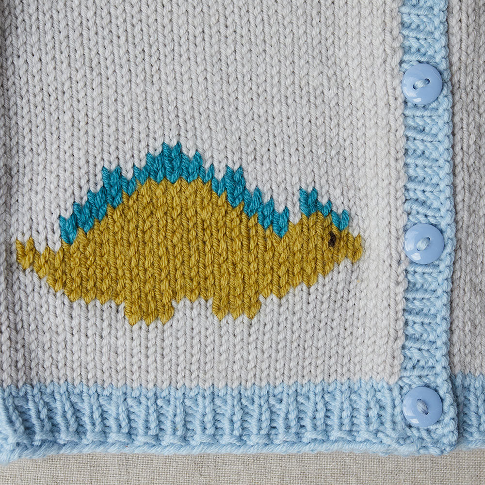Debbie Bliss Dido Dinosaur Cardigan Knitting Pattern
