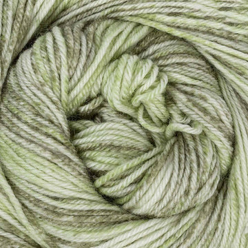 Fern (107)