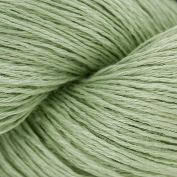 Lily Pad (113)