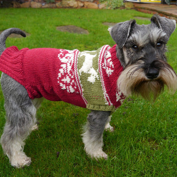Mabel's Christmas Sweater