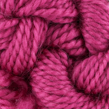 Raspberry Sorbet (5)