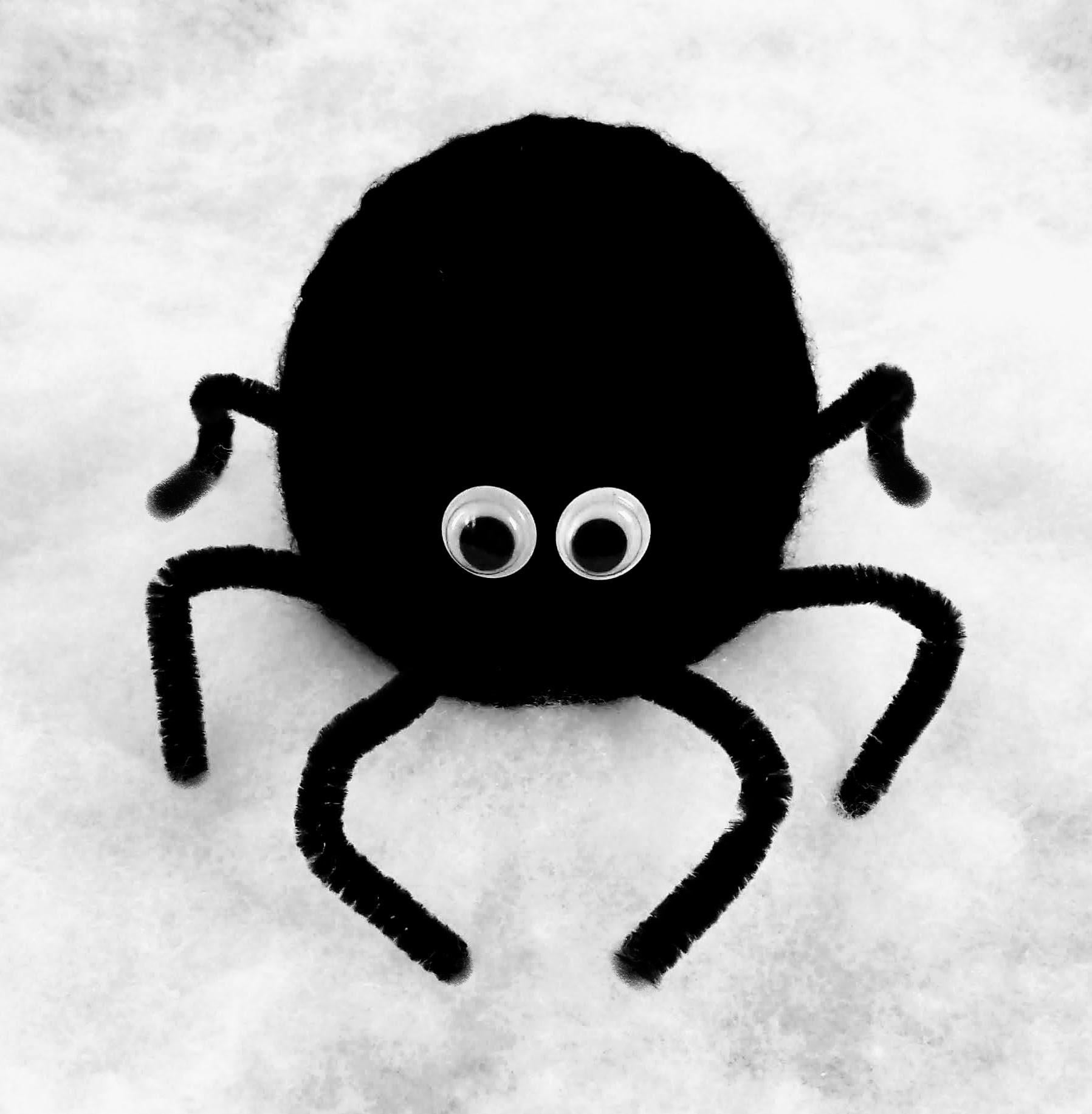 Hairy-Legged Spider - Chocolate Orange Cover