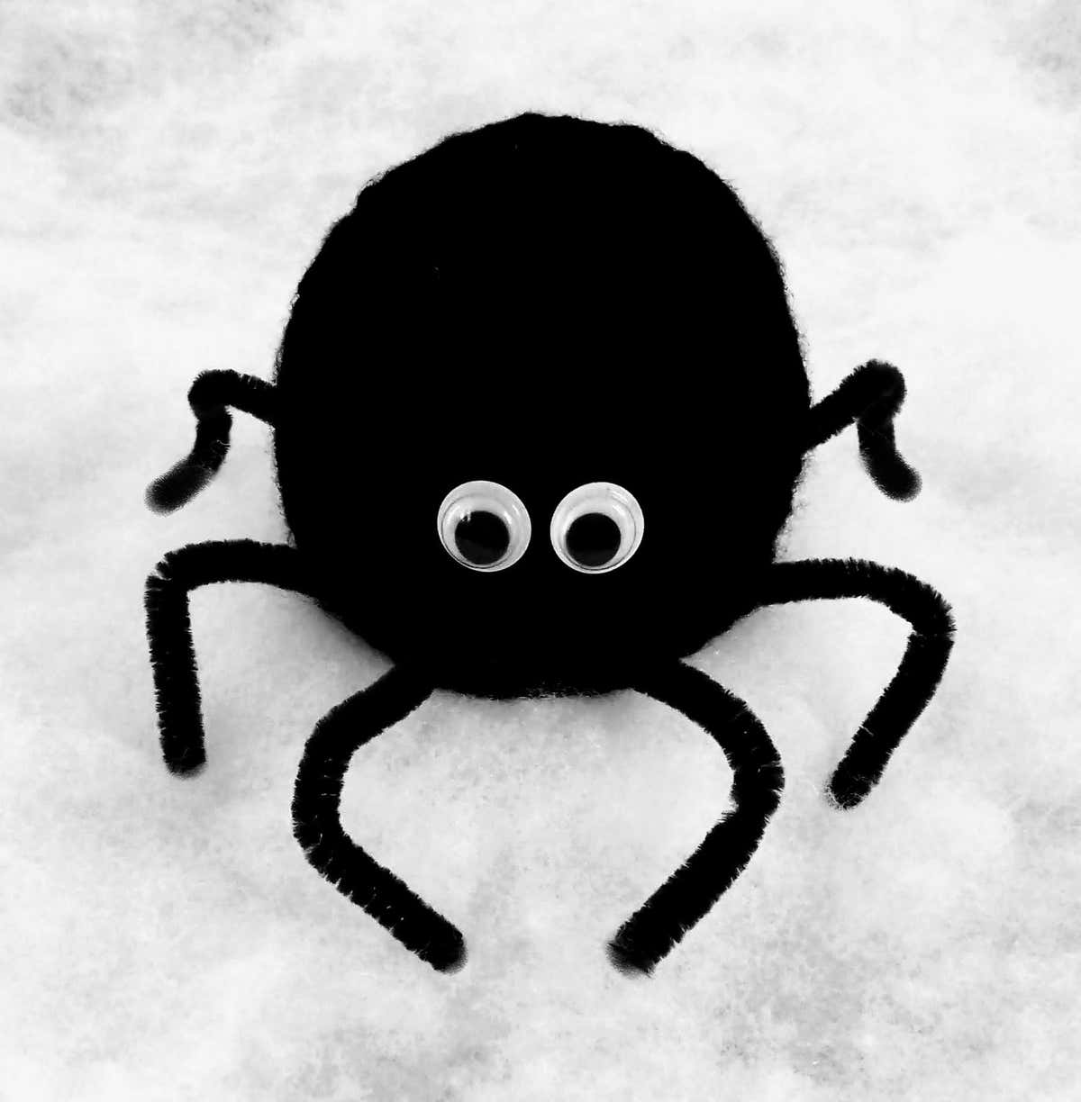Hairy-Legged Spider - Chocolate Orange Cover
