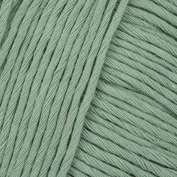 Sage (41112)