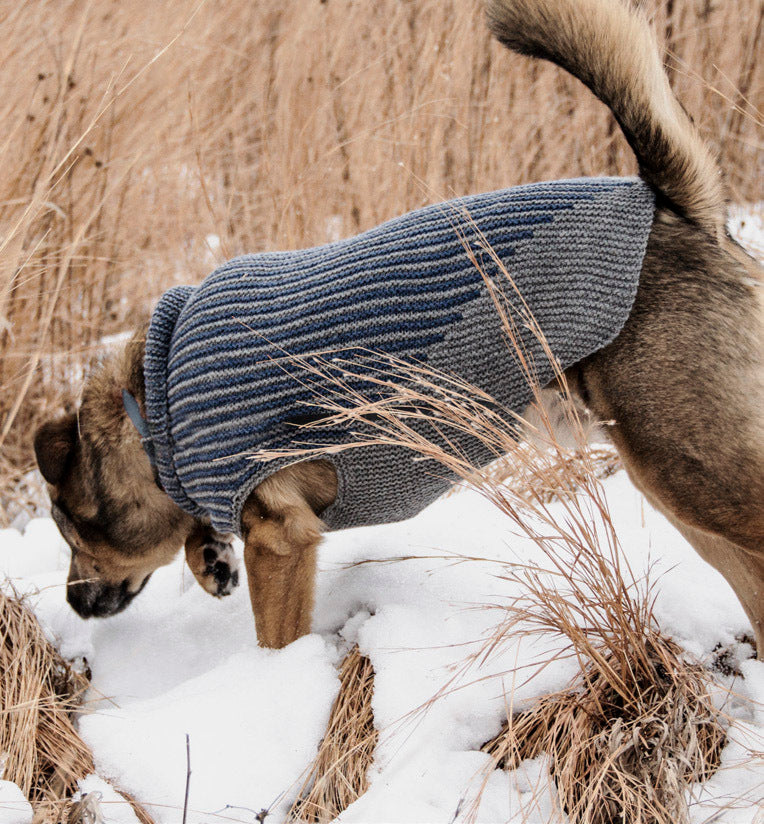 Blue Sky Fibers Bird Island Dog Sweater Knitting Pattern
