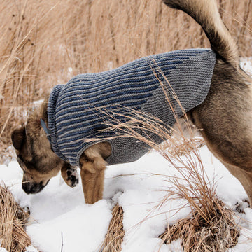 Blue Sky Fibers Bird Island Dog Sweater PDF