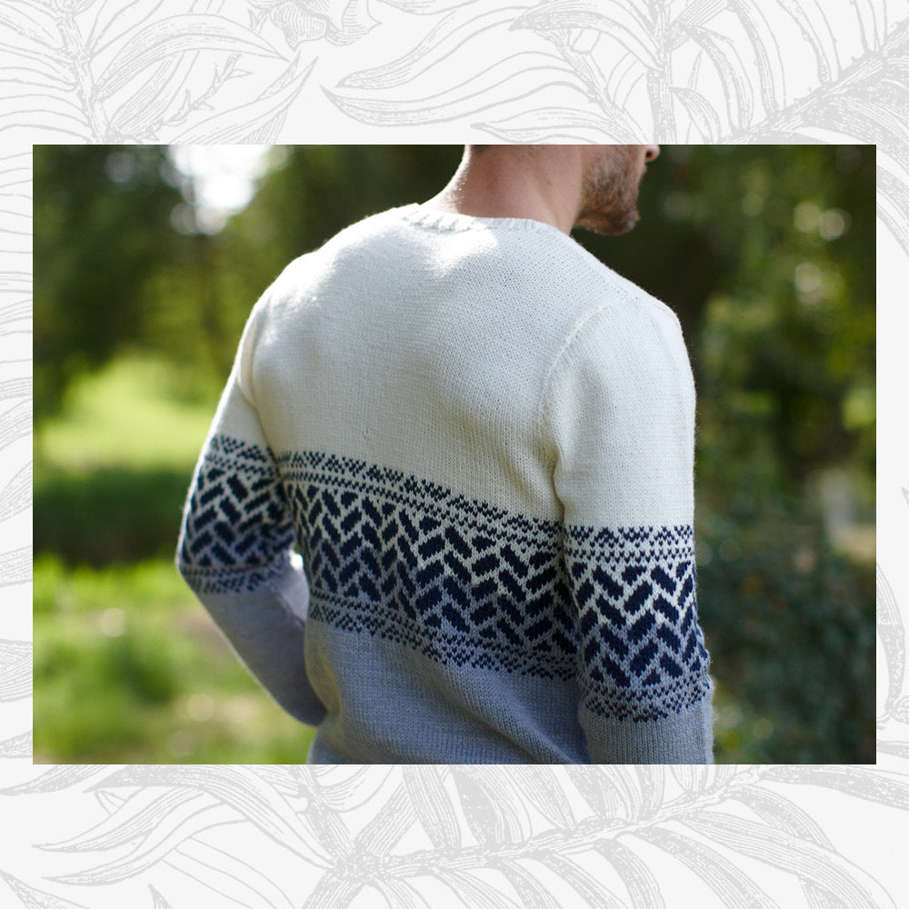 Willow & Lark Edward Jumper Knitting Pattern