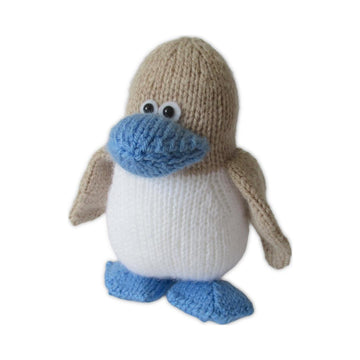 Blue Footed Booby Bird