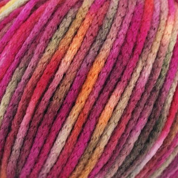 Juniper Moon Farm Fourteen Paints Yarn - Merino Wool Worsted