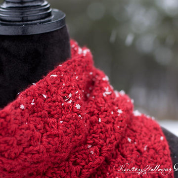 Cranberry Twist Scarf