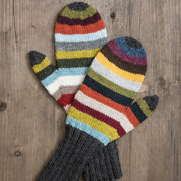 Blue Sky Fibers 21 Color Mitts Kit