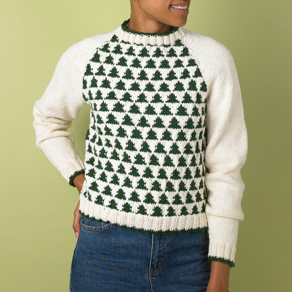 Paintbox Yarns Sleigh Ride Jumper Knitting Pattern