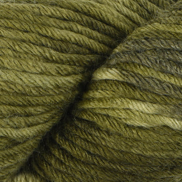 First Press Tonal (932)