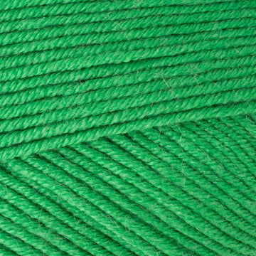 Parsley (5666)