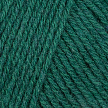 Moss (5832B)