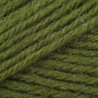 Avocado (174)