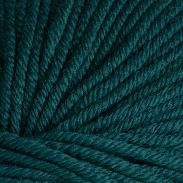 Ocean (13272)