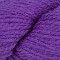 Purple Hyacinth (7808)