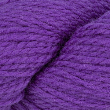 Purple Hyacinth (7808)