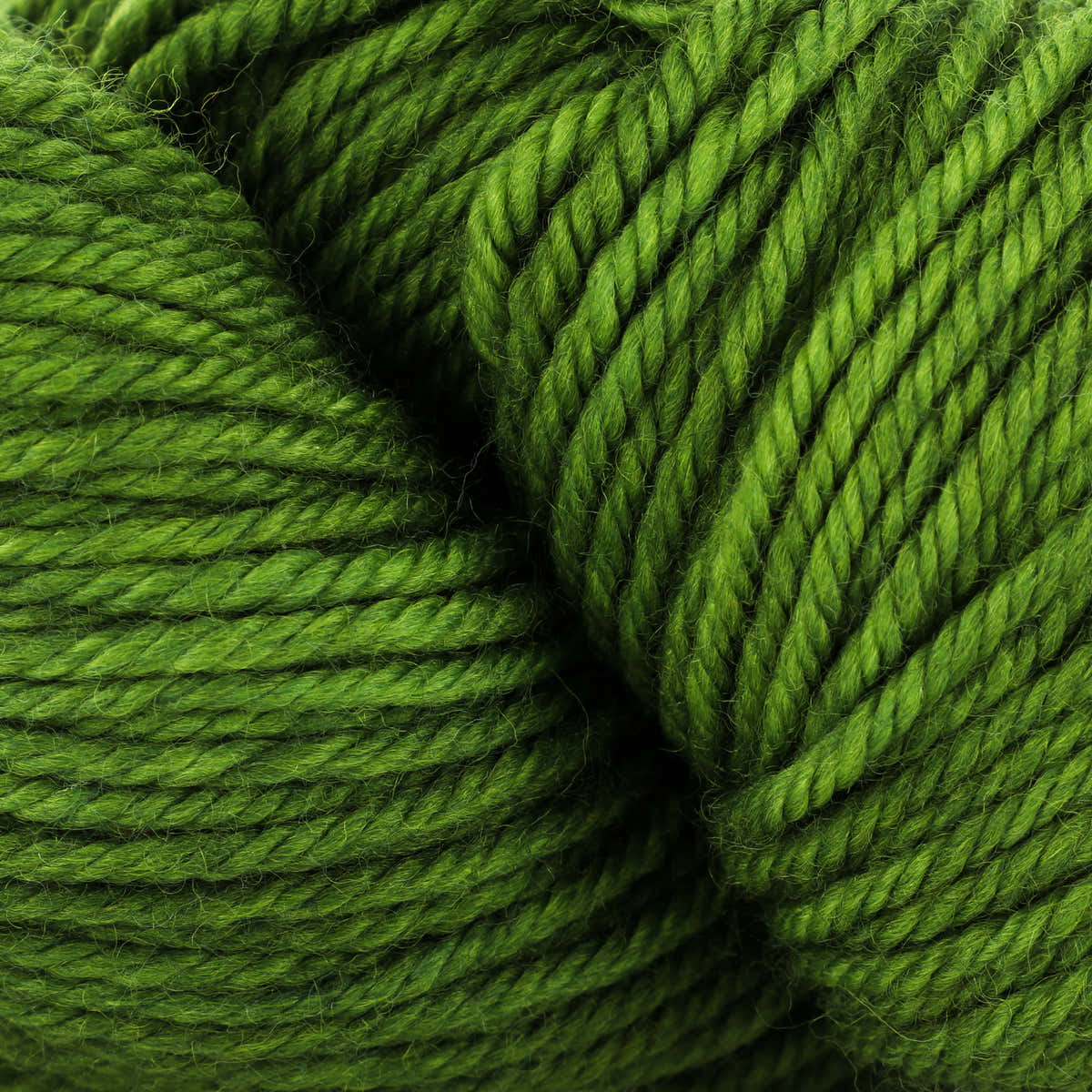 Neighborhood Fiber Co. Organic Studio Worsted Yarn