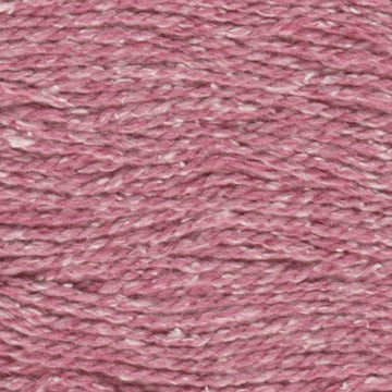 Carnation (218)
