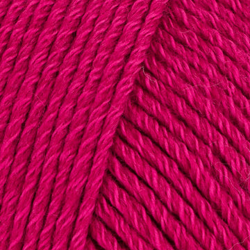 Fuchsia (14672)