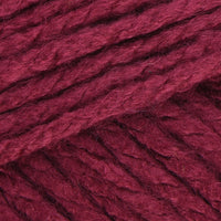 Raspberry (35)