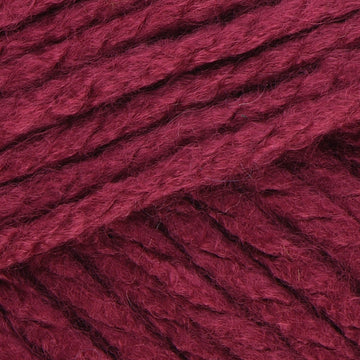 Raspberry (35)