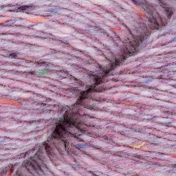 Winter Rose (08)