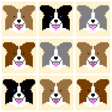 C2C Border Collie / Australian Shepard Dog Blanket Square