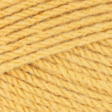 Maize (0692)