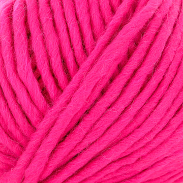 Fuchsia (65)