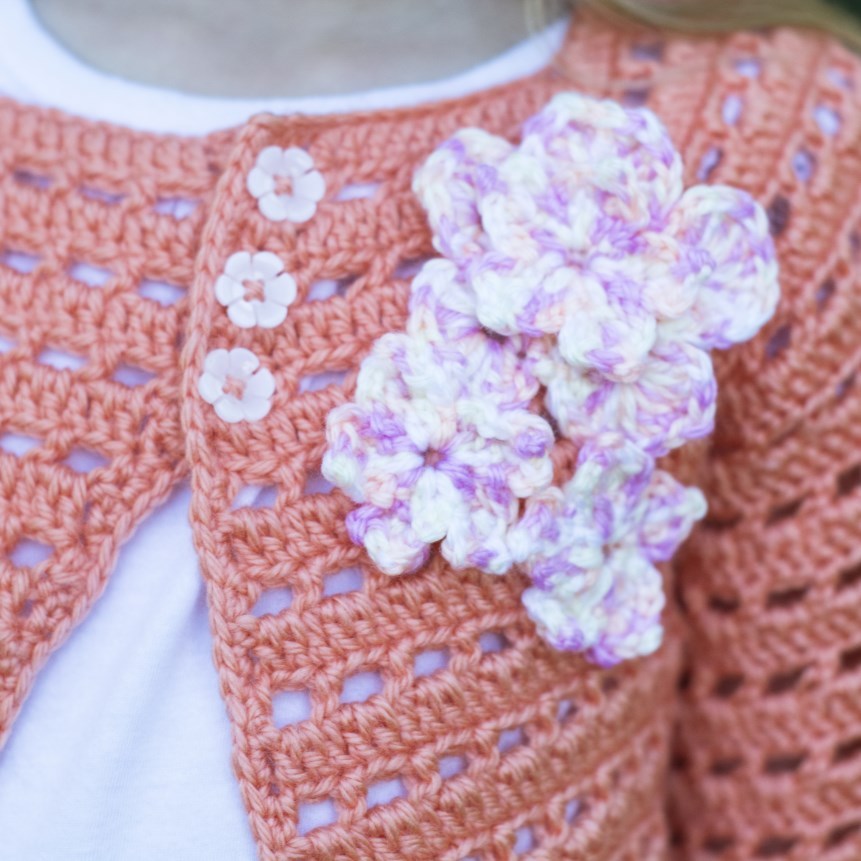 Cascade Yarns A Flower Friendly Sweater & Headband Crochet