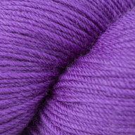 Purple Hyacinth (5625)