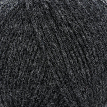 Charcoal (200153)