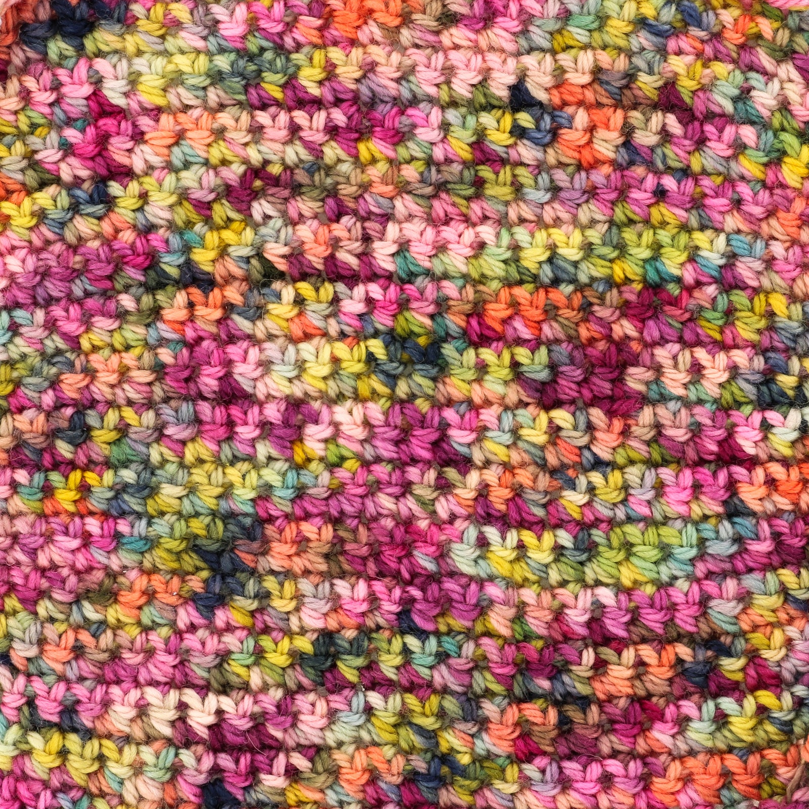 Koigu Jasmine Yarn - Merino Wool DK