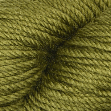 Seaweed (105)