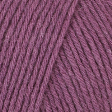 Grape (201077)