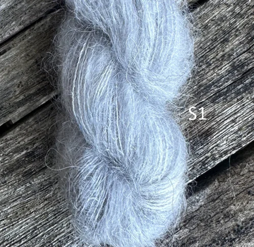 S1