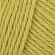 Lichen (124)