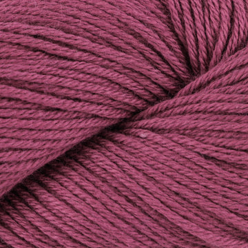 Raspberry Sorbet (14)