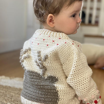 Little Rudolph Jumper