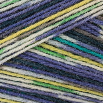 Pfau (7205)