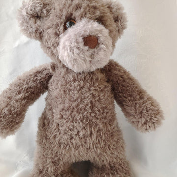 Blueberry Bear