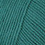 Teal (22)