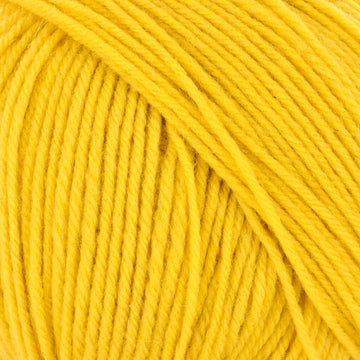 Marigold (806)