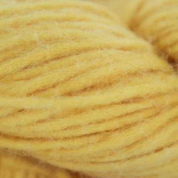 Marquee Yellow (1978)